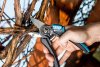 5 spim_image_product_photo_VqCzcIt4pwJV6OGShKFFMrTAb2r83hc3dAmODKAt_2048x1367 (1)